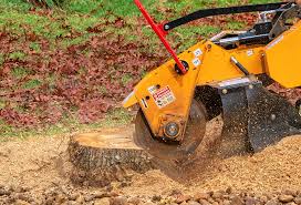  Yorkshire, VA Tree Care Pros